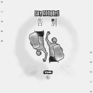 国产美女裸体㊙️无遮挡动漫
